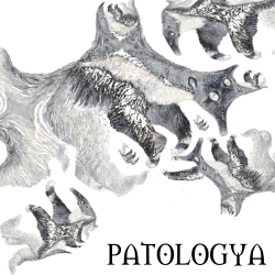 Koza - PATOLOGYA + AUTOGRAF  (LTD)